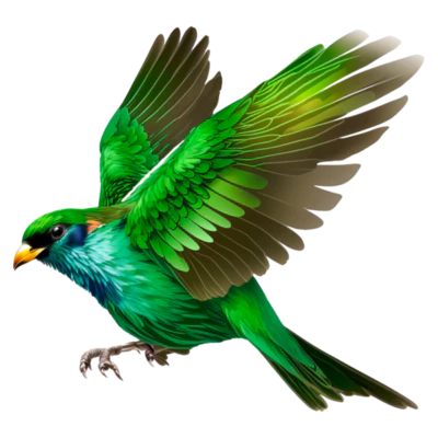 Bird Food